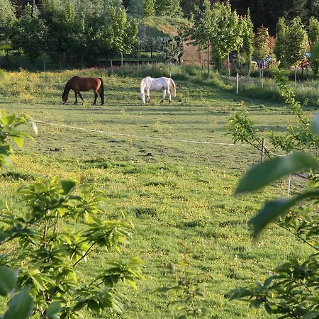 Holiday home Les Hirondelles, Rural Evrehailles